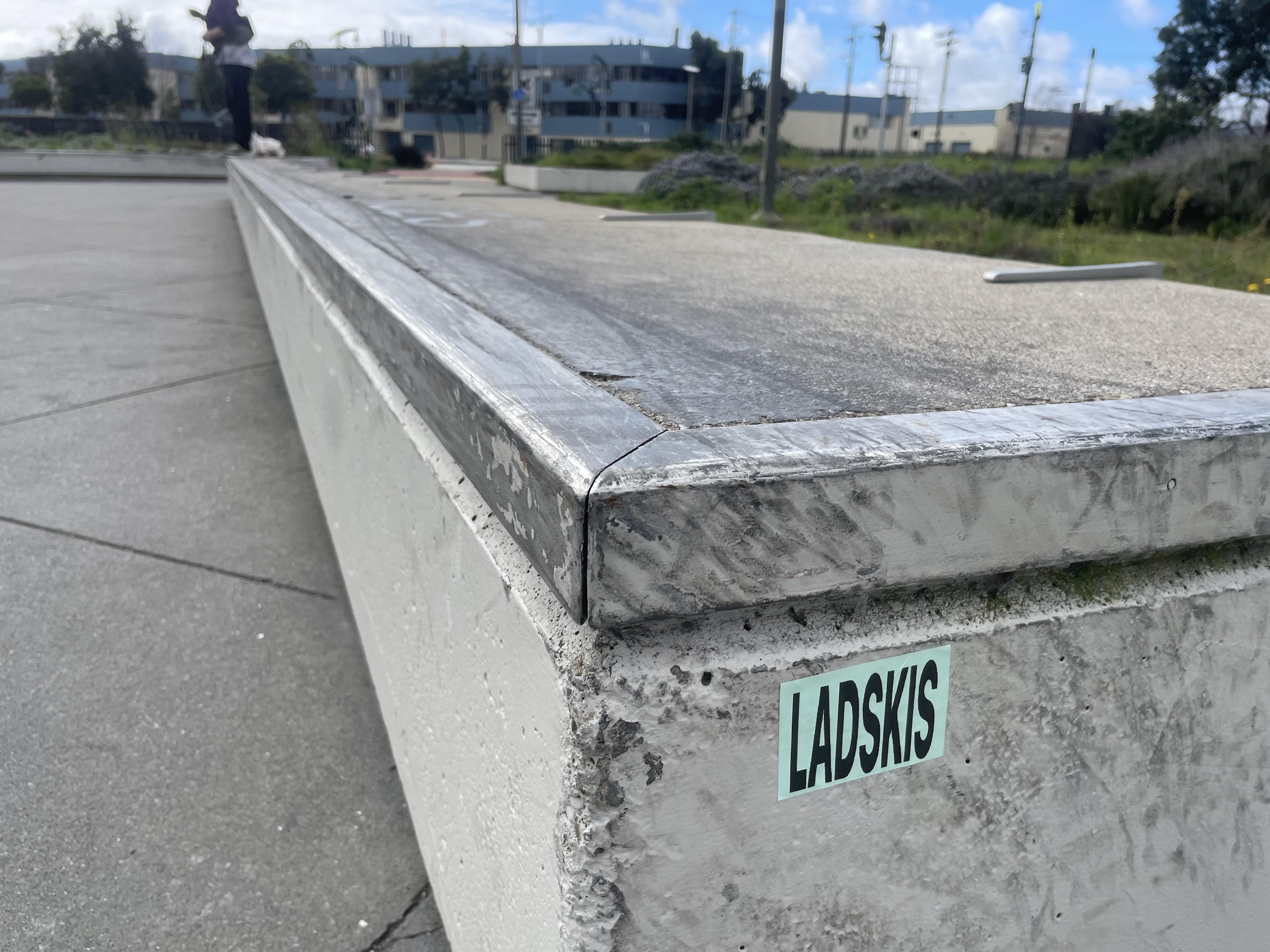 Rosa Parks skatepark